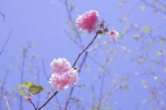 让人心冷的伤感句子2016