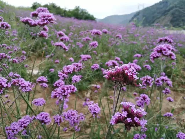 伤感个性说说短句