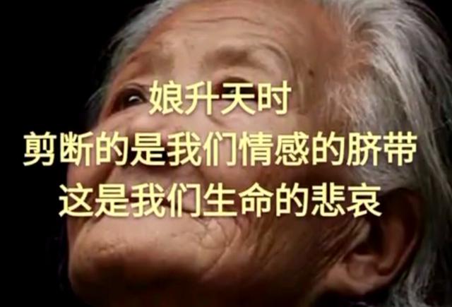 父母在，人生尚有来处；父母去，人生只剩归途（孝行天下）