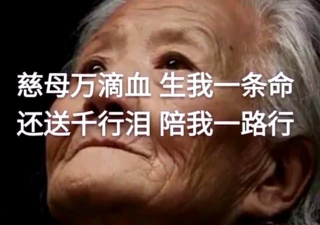 父母在，人生尚有来处；父母去，人生只剩归途（孝行天下）